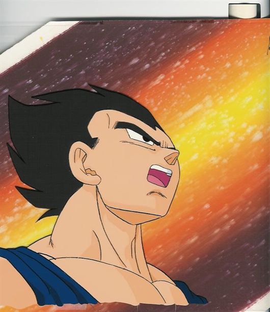 show me a picture of vegeta