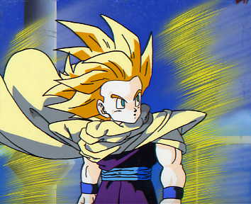 Gohan Cape