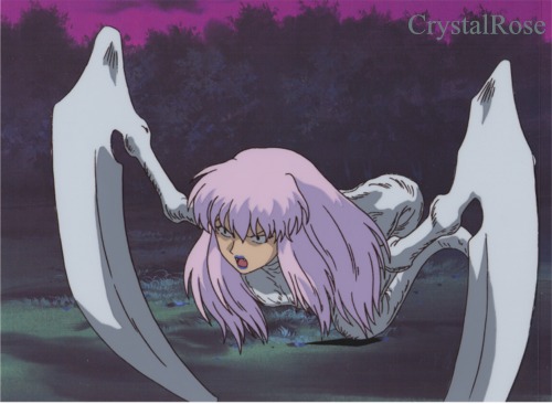 Inuyasha: Kageroumaru - Picture Gallery